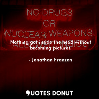  Nothing got inside the head without becoming pictures.... - Jonathan Franzen - Quotes Donut
