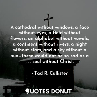 A cathedral without windows, a face without eyes, a field without flowers, an alphabet without vowels, a continent without rivers, a night without stars, and a sky without a sun—these would not be so sad as a . . . soul without Christ.