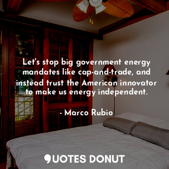 Let&#39;s stop big government energy mandates like cap-and-trade, and instead trust the American innovator to make us energy independent.