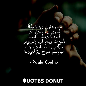  الألم الذى نشعر به أنا وأنت لن يزول أبداً . لكن العمل سيساعدنا على تحمّله لأن ال... - Paulo Coelho - Quotes Donut