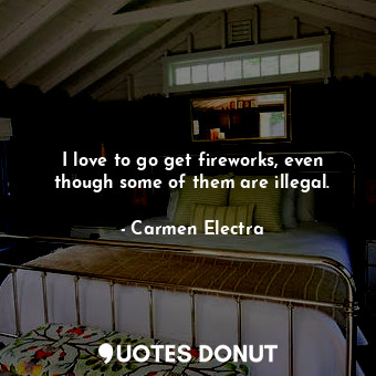  I love to go get fireworks, even though some of them are illegal.... - Carmen Electra - Quotes Donut