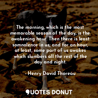 The morning, which is the most memorable season of the day, is the awakening hou... - Henry David Thoreau - Quotes Donut