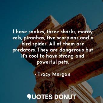 I have snakes, three sharks, moray eels, piranhas, five scorpions and a bird spider. All of them are predators. They are dangerous but it&#39;s cool to have strong and powerful pets.