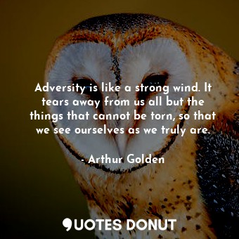 Adversity is like a strong wind. It tears away from us all but the things that cannot be torn, so that we see ourselves as we truly are.