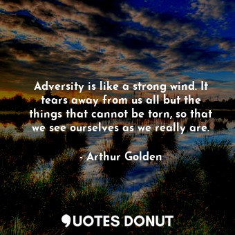  Adversity is like a strong wind. It tears away from us all but the things that c... - Arthur Golden - Quotes Donut