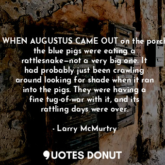 WHEN AUGUSTUS CAME OUT on the porch the blue pigs were eating a rattlesnake—not a very big one. It had probably just been crawling around looking for shade when it ran into the pigs. They were having a fine tug-of-war with it, and its rattling days were over.