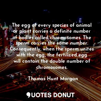  The egg of every species of animal or plant carries a definite number of bodies ... - Thomas Hunt Morgan - Quotes Donut