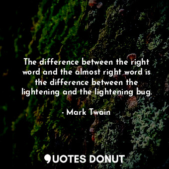 The difference between the right word and the almost right word is the difference between the lightening and the lightening bug.