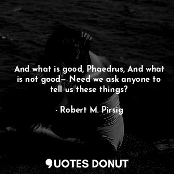 And what is good, Phaedrus, And what is not good— Need we ask anyone to tell us these things?