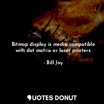 Bitmap display is media compatible with dot matrix or laser printers.