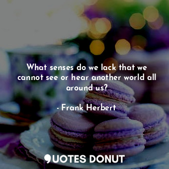 What senses do we lack that we cannot see or hear another world all around us?