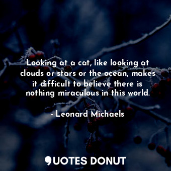 Looking at a cat, like looking at clouds or stars or the ocean, makes it difficult to believe there is nothing miraculous in this world.