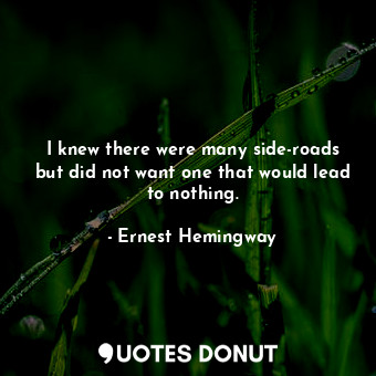  I knew there were many side-roads but did not want one that would lead to nothin... - Ernest Hemingway - Quotes Donut