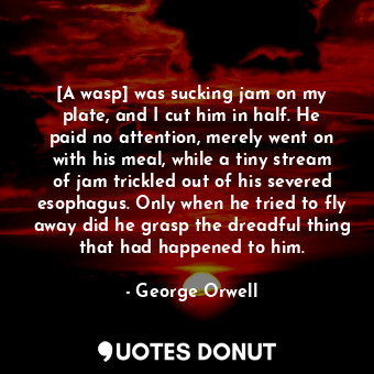 [A wasp] was sucking jam on my plate, and I cut him in half. He paid no attention, merely went on with his meal, while a tiny stream of jam trickled out of his severed esophagus. Only when he tried to fly away did he grasp the dreadful thing that had happened to him.