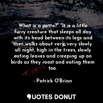  What is a potto?" "It is a little furry creature that sleeps all day with its he... - Patrick O&#039;Brian - Quotes Donut