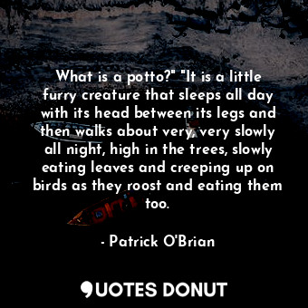 What is a potto?" "It is a little furry creature that sleeps all day with its head between its legs and then walks about very, very slowly all night, high in the trees, slowly eating leaves and creeping up on birds as they roost and eating them too.