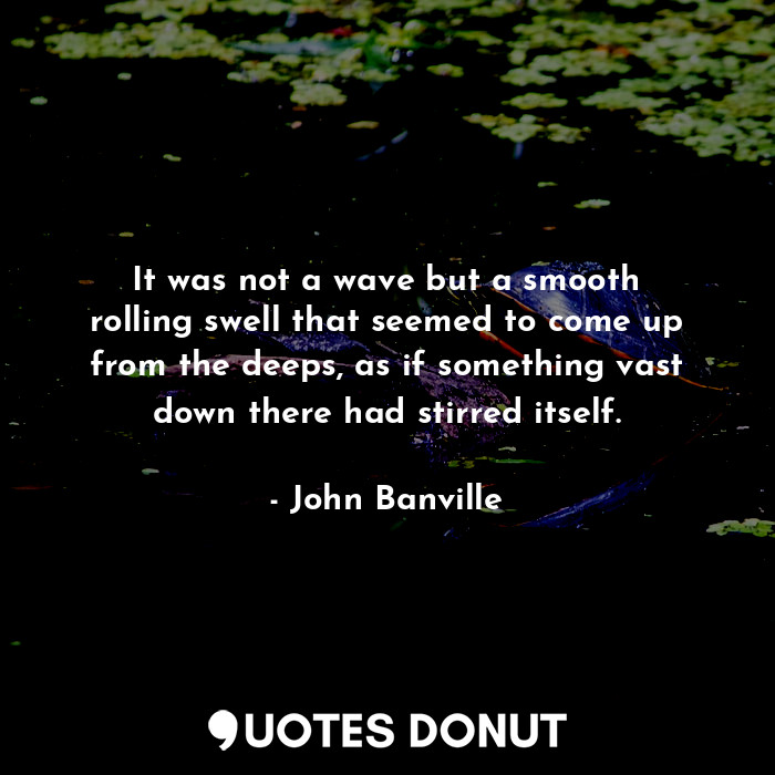  It was not a wave but a smooth rolling swell that seemed to come up from the dee... - John Banville - Quotes Donut
