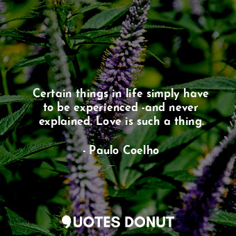  Certain things in life simply have to be experienced -and never explained. Love ... - Paulo Coelho - Quotes Donut