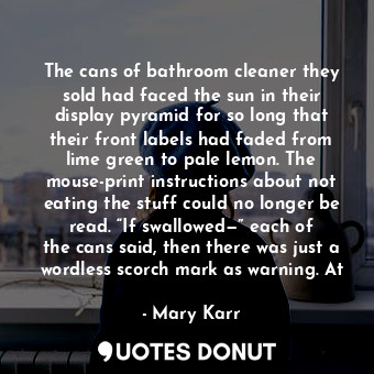  The cans of bathroom cleaner they sold had faced the sun in their display pyrami... - Mary Karr - Quotes Donut