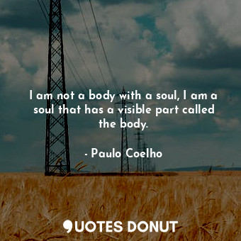 I am not a body with a soul, I am a soul that has a visible part called the body.