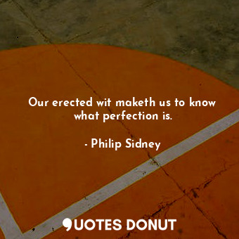 Our erected wit maketh us to know what perfection is.
