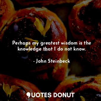 Perhaps my greatest wisdom is the knowledge that I do not know.