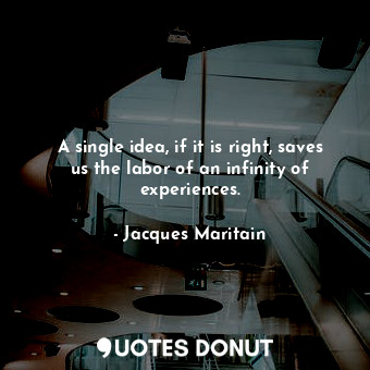 A single idea, if it is right, saves us the labor of an infinity of experiences.