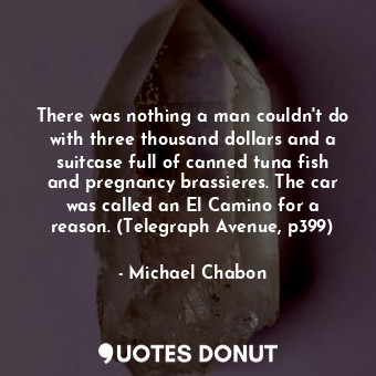  There was nothing a man couldn't do with three thousand dollars and a suitcase f... - Michael Chabon - Quotes Donut