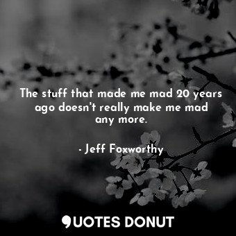  The stuff that made me mad 20 years ago doesn&#39;t really make me mad any more.... - Jeff Foxworthy - Quotes Donut