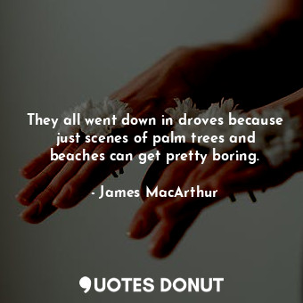  They all went down in droves because just scenes of palm trees and beaches can g... - James MacArthur - Quotes Donut