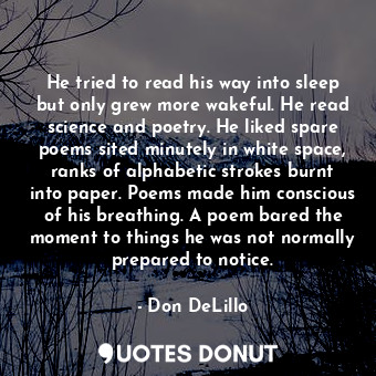 He tried to read his way into sleep but only grew more wakeful. He read science and poetry. He liked spare poems sited minutely in white space, ranks of alphabetic strokes burnt into paper. Poems made him conscious of his breathing. A poem bared the moment to things he was not normally prepared to notice.