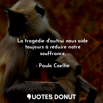  La tragédie d'autrui nous aide toujours à réduire notre souffrance.... - Paulo Coelho - Quotes Donut