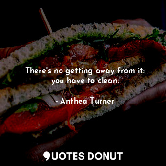  There&#39;s no getting away from it: you have to clean.... - Anthea Turner - Quotes Donut