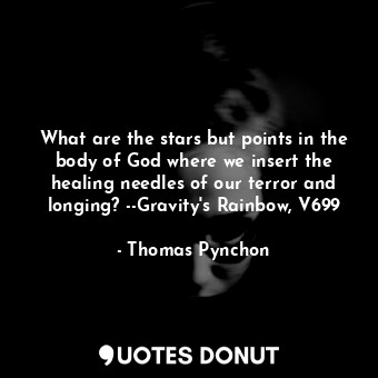 What are the stars but points in the body of God where we insert the healing needles of our terror and longing? --Gravity's Rainbow, V699