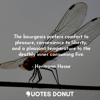  The bourgeois prefers comfort to pleasure, convenience to liberty, and a pleasan... - Hermann Hesse - Quotes Donut