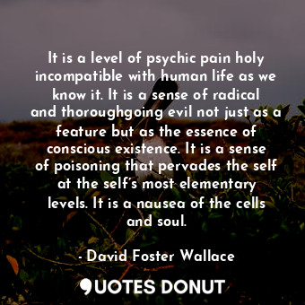 It is a level of psychic pain holy incompatible with human life as we know it. It is a sense of radical and thoroughgoing evil not just as a feature but as the essence of conscious existence. It is a sense of poisoning that pervades the self at the self’s most elementary levels. It is a nausea of the cells and soul.