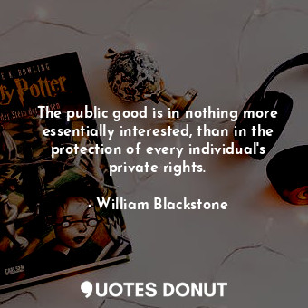 The public good is in nothing more essentially interested, than in the protection of every individual&#39;s private rights.