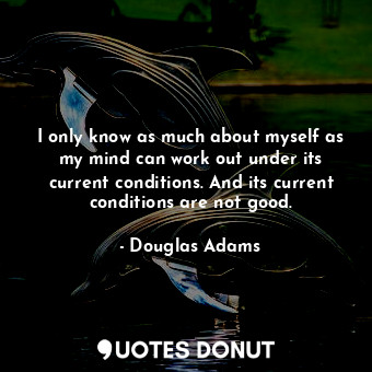 I only know as much about myself as my mind can work out under its current conditions. And its current conditions are not good.