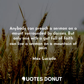  Anybody can preach a sermon on a mount surrounded by daisies. But only one with ... - Max Lucado - Quotes Donut