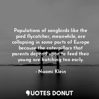  Populations of songbirds like the pied flycatcher, meanwhile, are collapsing in ... - Naomi Klein - Quotes Donut