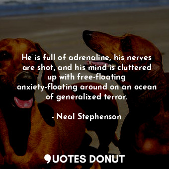 He is full of adrenaline, his nerves are shot, and his mind is cluttered up with free-floating anxiety-floating around on an ocean of generalized terror.