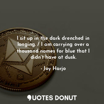  I sit up in the dark drenched in longing. / I am carrying over a thousand names ... - Joy Harjo - Quotes Donut