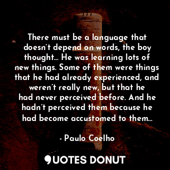 There must be a language that doesn’t depend on words, the boy thought… He was learning lots of new things. Some of them were things that he had already experienced, and weren’t really new, but that he had never perceived before. And he hadn’t perceived them because he had become accustomed to them…