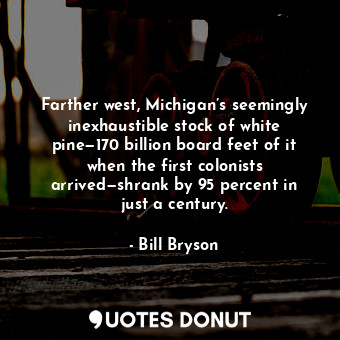 Farther west, Michigan’s seemingly inexhaustible stock of white pine—170 billion board feet of it when the first colonists arrived—shrank by 95 percent in just a century.