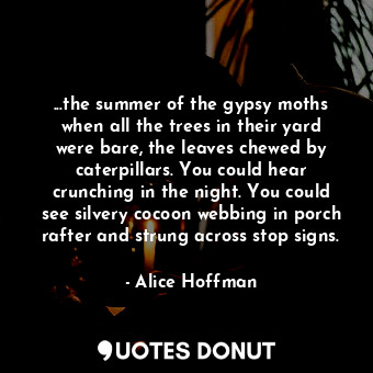 ...the summer of the gypsy moths when all the trees in their yard were bare, the leaves chewed by caterpillars. You could hear crunching in the night. You could see silvery cocoon webbing in porch rafter and strung across stop signs.
