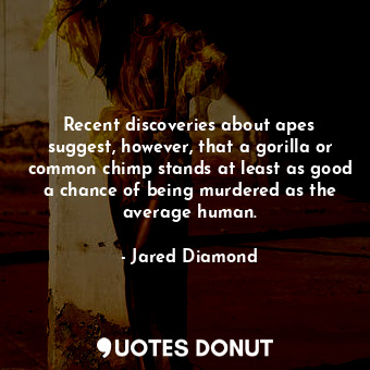  Recent discoveries about apes suggest, however, that a gorilla or common chimp s... - Jared Diamond - Quotes Donut