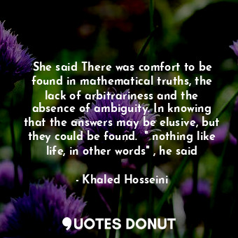 She said There was comfort to be found in mathematical truths, the lack of arbitrariness and the absence of ambiguity. In knowing that the answers may be elusive, but they could be found.  " nothing like life, in other words" , he said