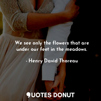  We see only the flowers that are under our feet in the meadows.... - Henry David Thoreau - Quotes Donut