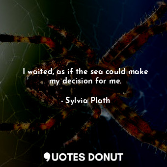  I waited, as if the sea could make my decision for me.... - Sylvia Plath - Quotes Donut