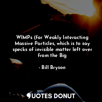WIMPs (for Weakly Interacting Massive Particles, which is to say specks of invisible matter left over from the Big